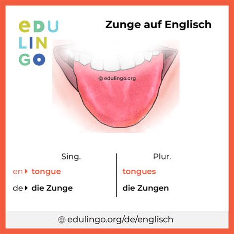 zunge englisch